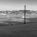 RO1999-P008