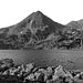 RO2000-006P