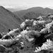 RO2004-067