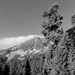 RO2011-016