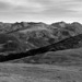 RO2011-157P