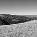 RO2011-394P