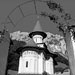 RO1993-006