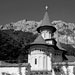RO1993-007
