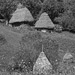 RO1993-020