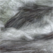 DE2010-849-1