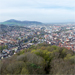 DE2019-0313