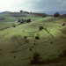 RO1993-S024
