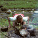 RO1993-S033