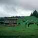 RO1993-S060