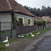 RO1993-S086