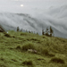 RO1994-S010