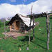 RO1997-015