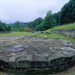 RO1997-036