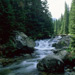 RO1997-080