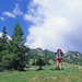 RO1997-113