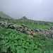 RO1997-227