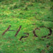 RO1997-311
