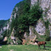 RO1997-325