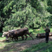 RO1997-422