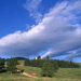 RO1997-485