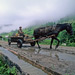 RO1997-561