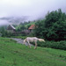RO1997-562
