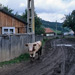 RO1997-565