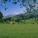 RO1997-752