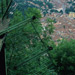 RO1998-S006