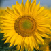 RO1998-S026