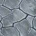 RO1998-S056