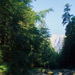 RO1998-S129