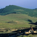 RO1998-S152