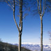 RO1999-W039