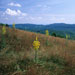 SK1999-325