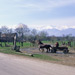 RO2000-0092