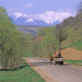 RO2000-0188