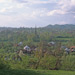 RO2000-0296