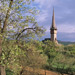 RO2000-0300