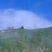 RO2001-S009