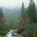 PL2003-006