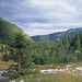 PL2003-118