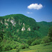 RO2004-F001