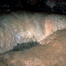 RO2004-F011