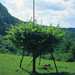 RO2004-F014