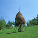 RO2004-F015
