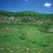 RO2004-F018