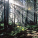 RO2004-H028