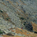 RO2004-H088